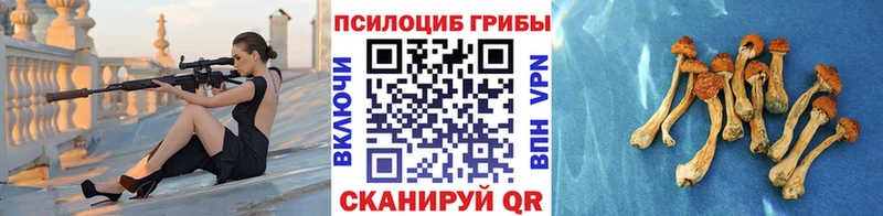 Галлюциногенные грибы мицелий  Купить  Апшеронск 